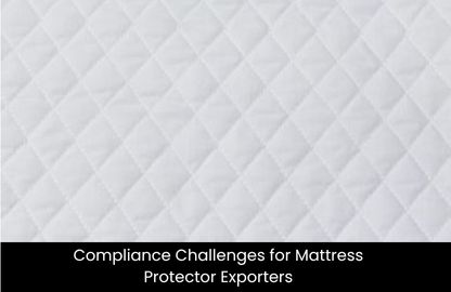 Terry Loop Mattress Cover